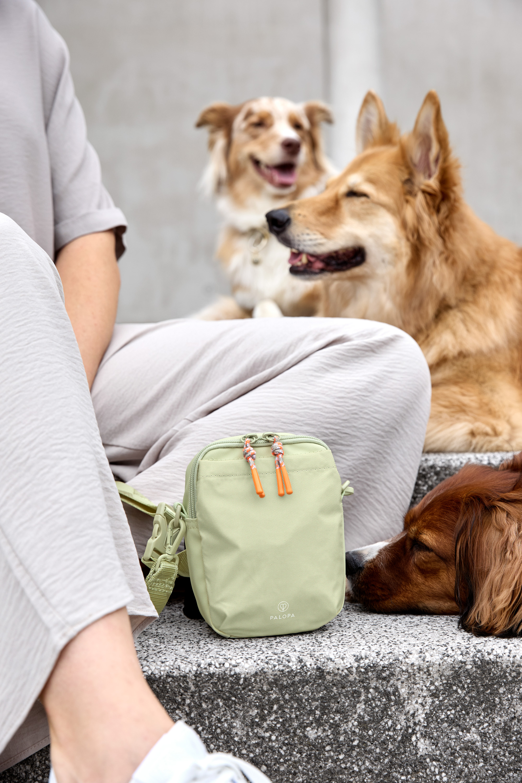 Palopa Dog Snack Bag Greta L pale khaki - 17