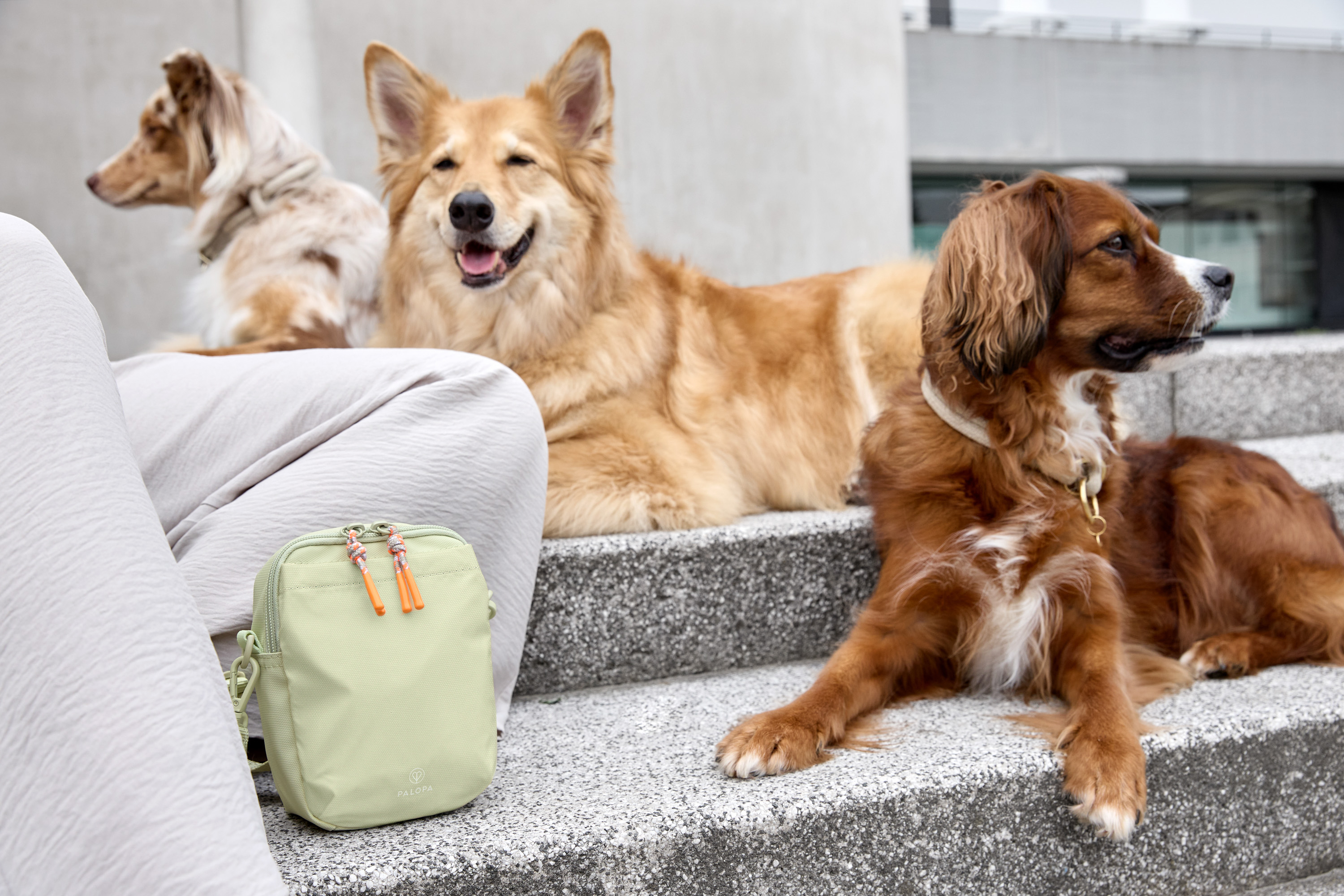 Palopa Dog Snack Bag Greta L pale khaki