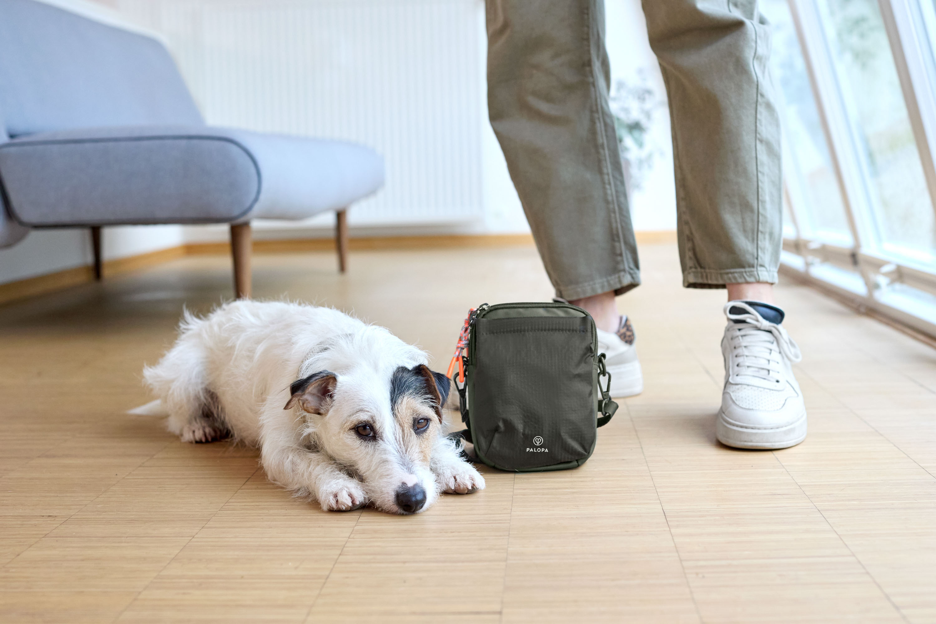 Palopa Dog Snack Bag Greta L dark olive - 13
