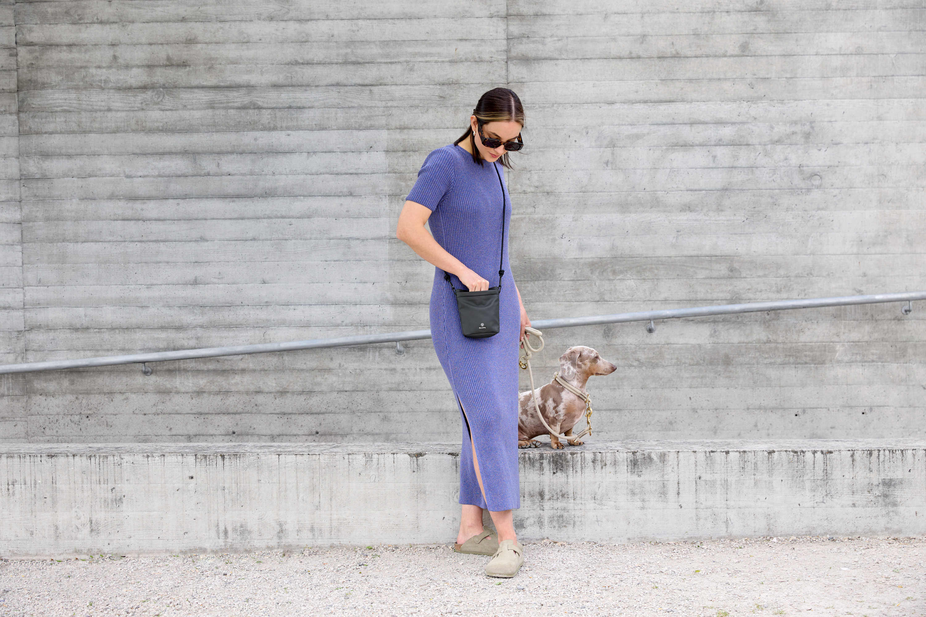 Palopa Dog Snack Bag Karl M purple - 23