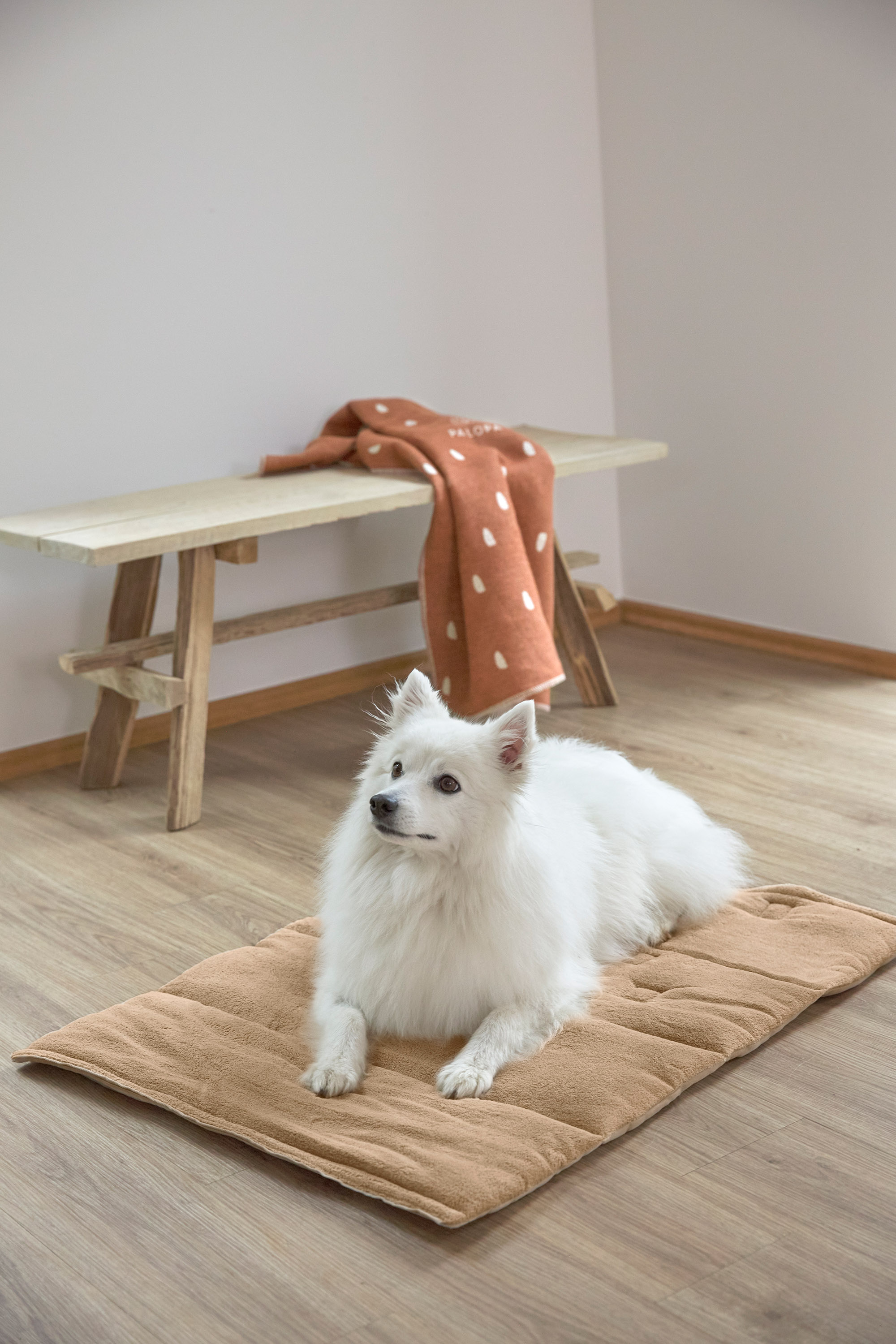 Palopa Hundmatta Alma humus M-L - 63