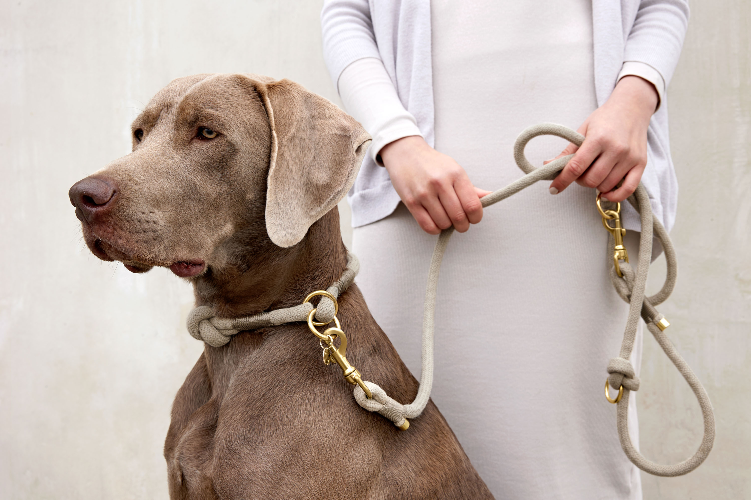 Palopa Hundhalsband Mila natur S (35 cm) - 234