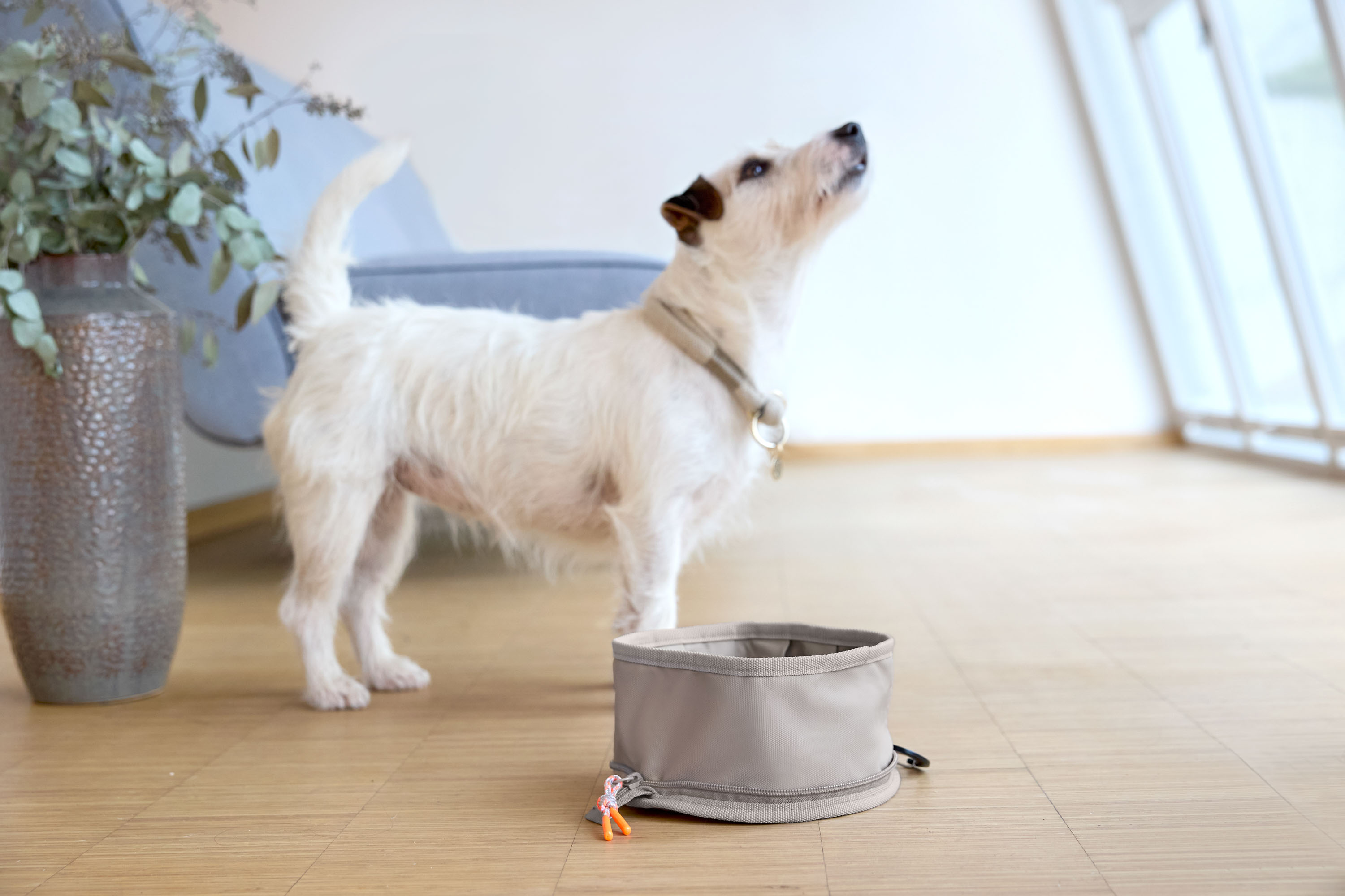 Palopa Hundhalsband Mila natur S (35 cm) - 261