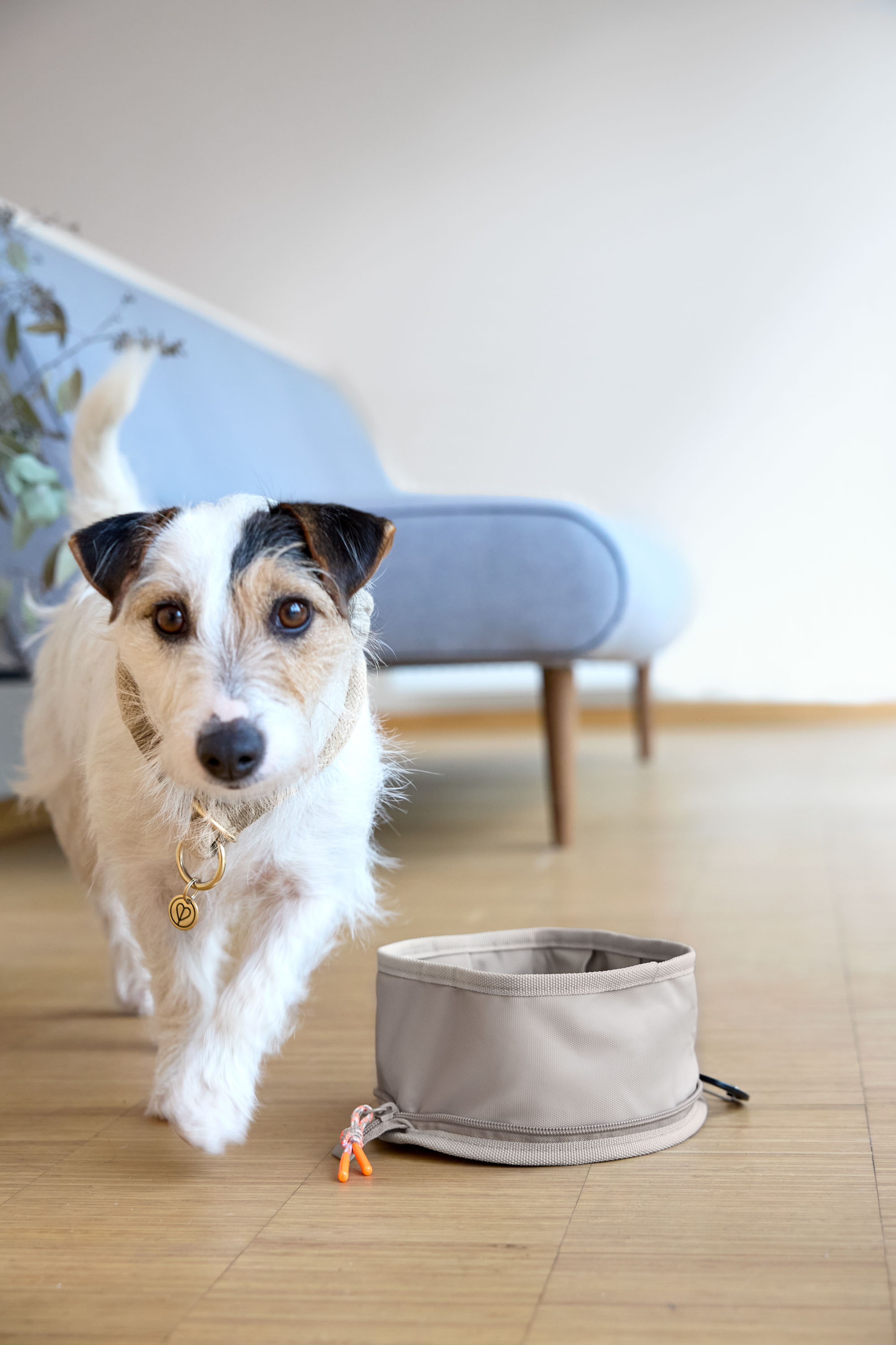Palopa Hundhalsband Mila natur S (35 cm) - 10