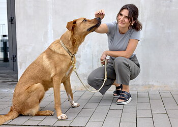 Palopa Dog Koppel Linen Mila Slim nature