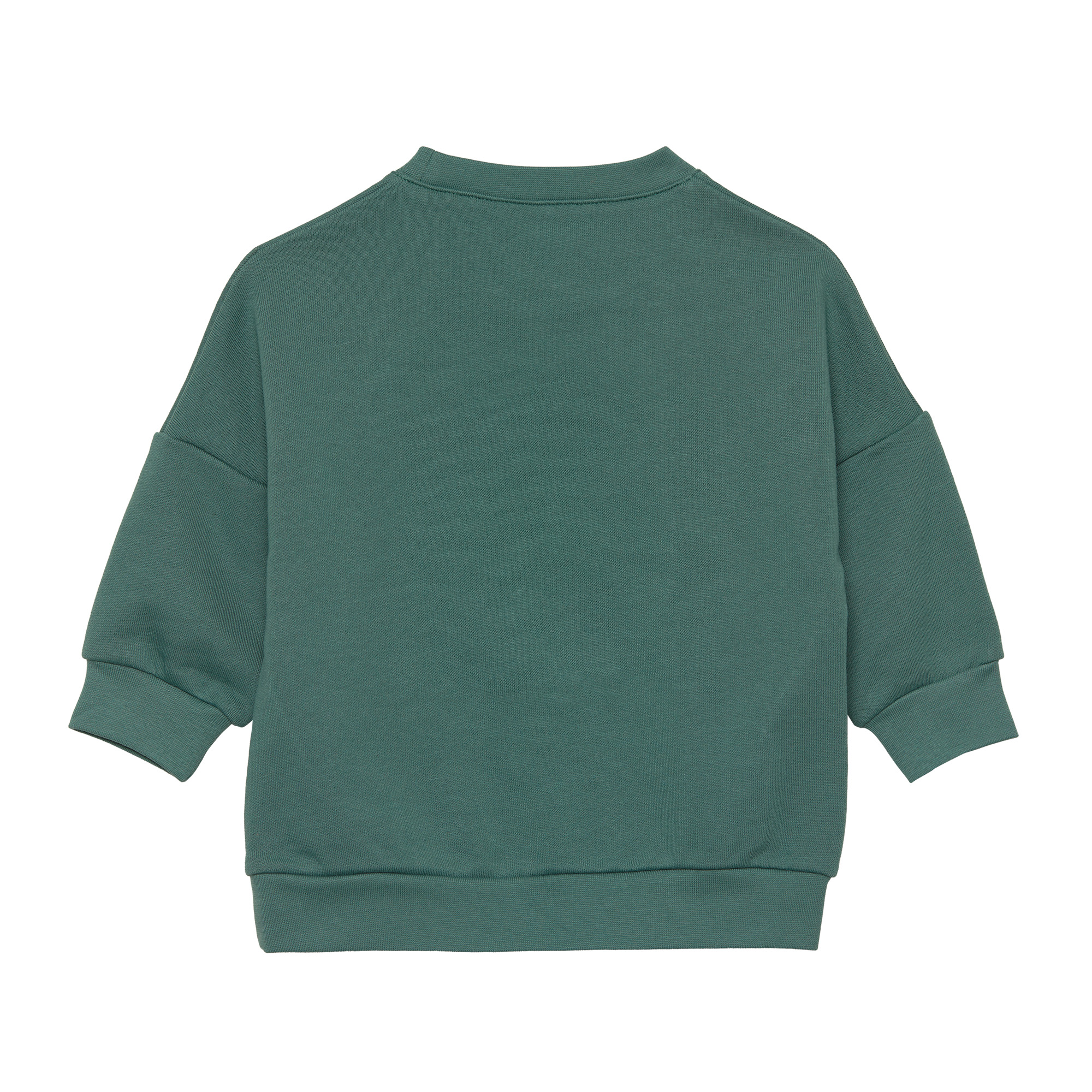 Lässig Kids Sweater GOTS Little Gang Smile ocea gree - 2