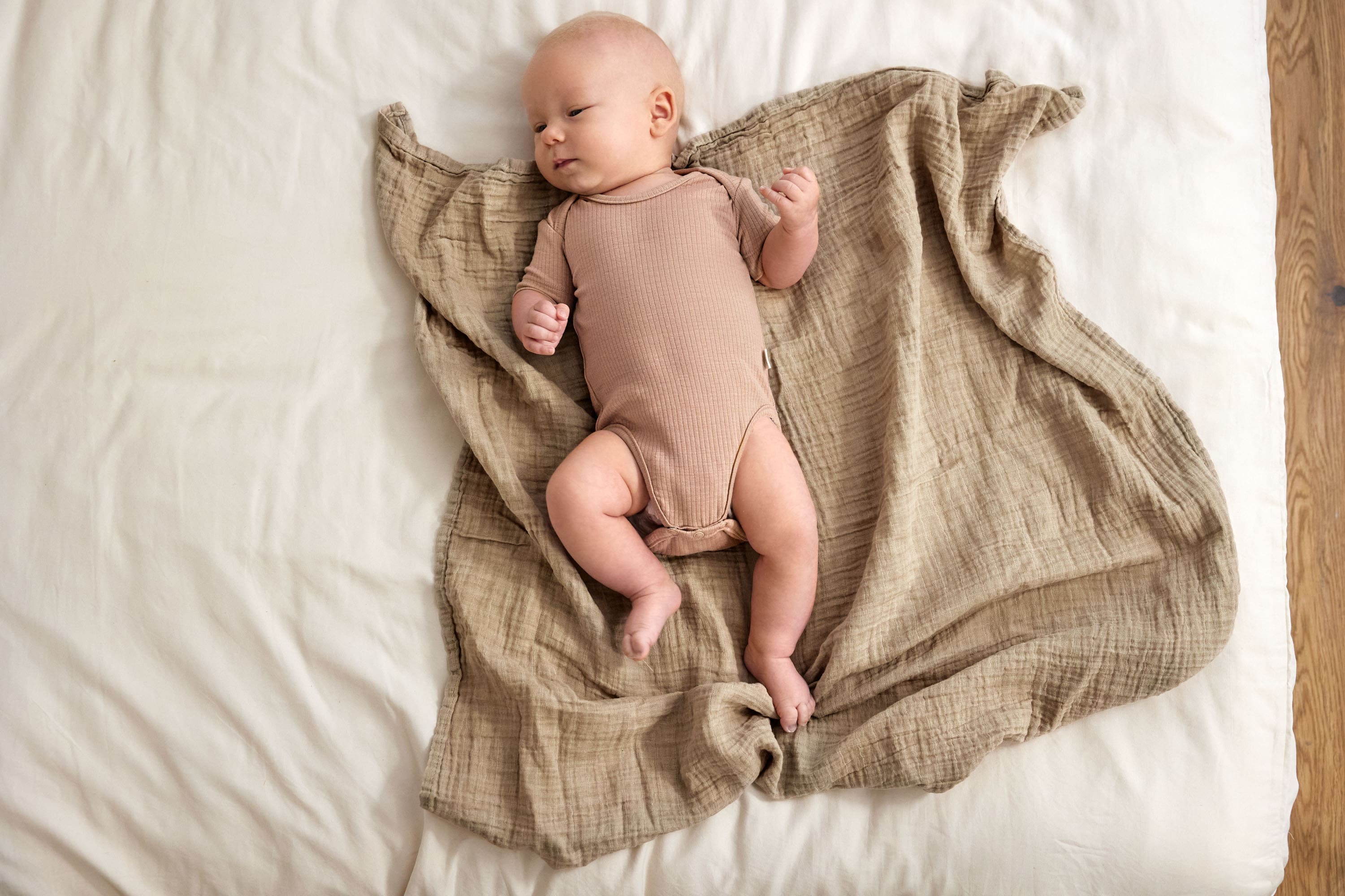 Lässig Short Sleeve Body Lyocell Rib light brown - 2