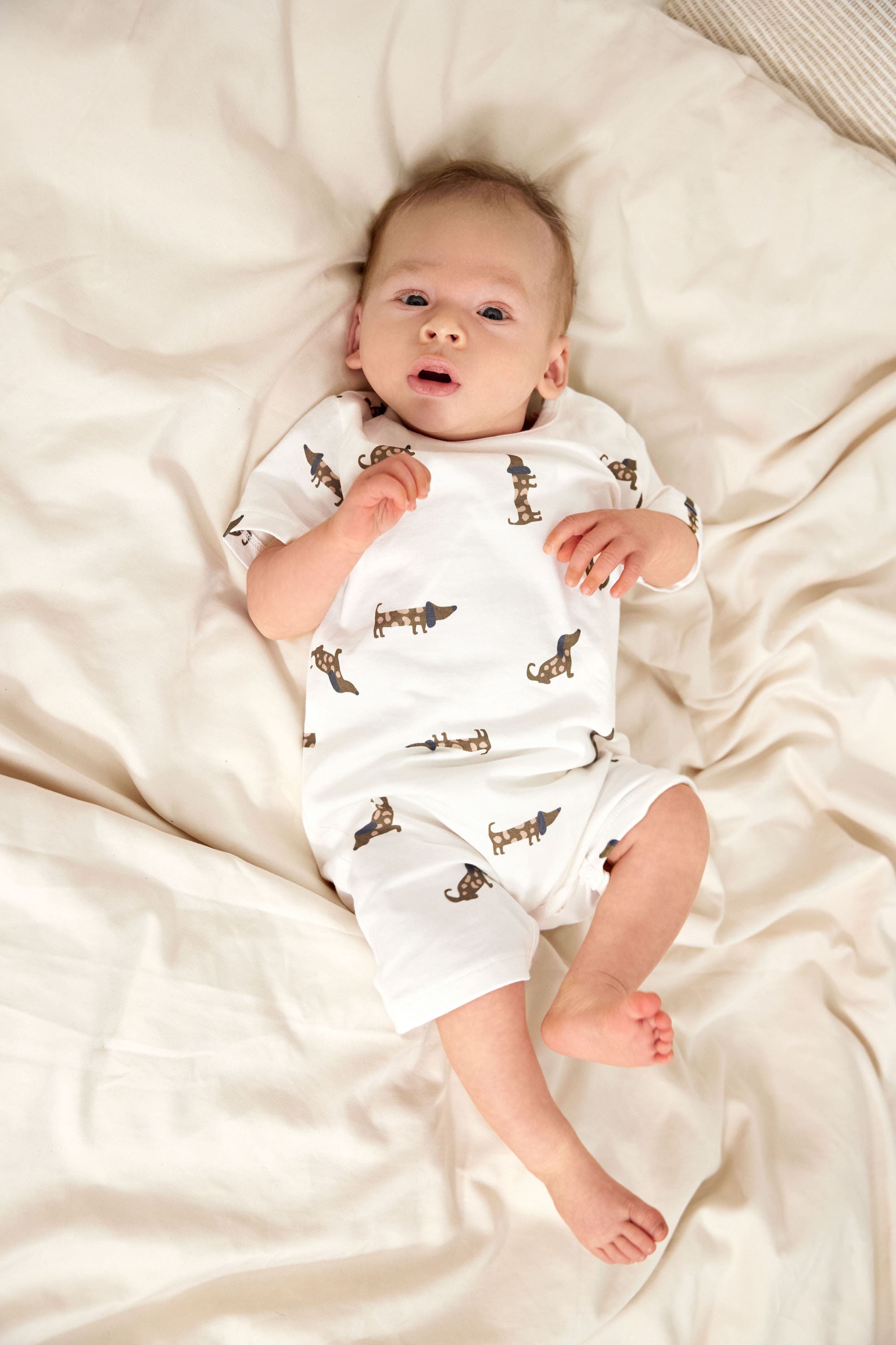 Lässig Short Sleeve Set GOTS Dog milky - 3