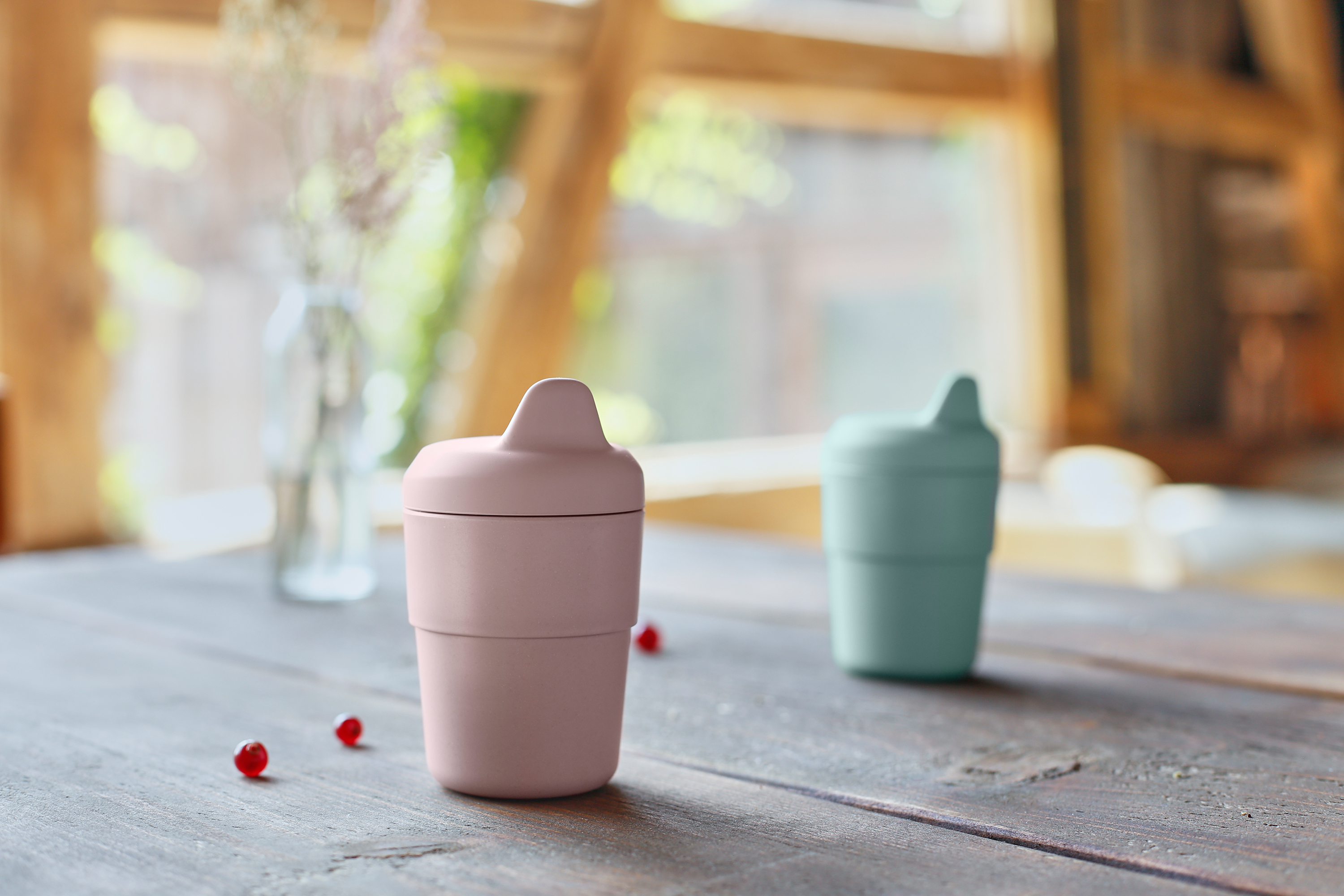 Lässig Mug PP/Cellulose Silicone Lid Little Chums Dog - 11