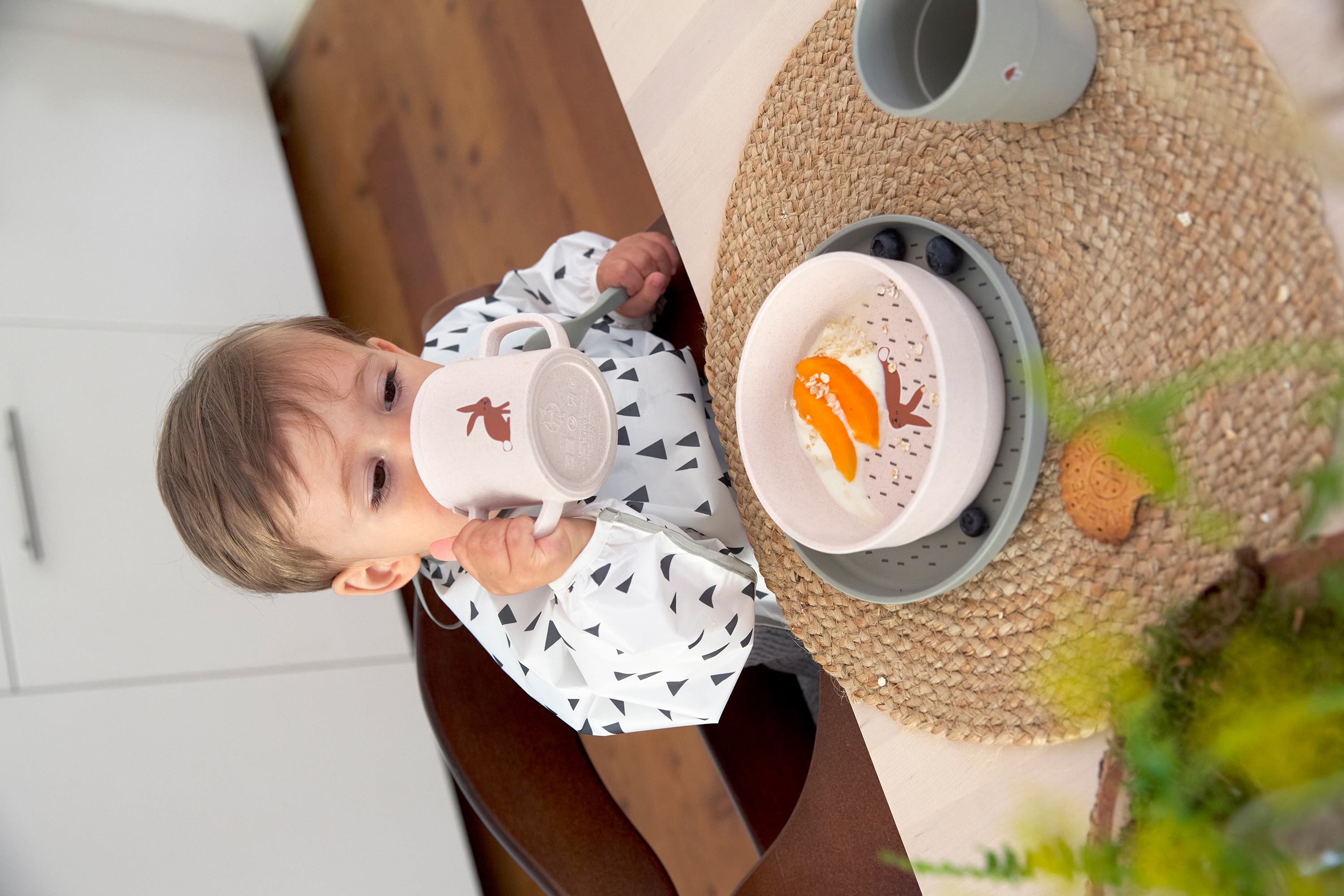 Lässig Long Sleeve Bib 2 pcs ass. Little Forest Fox 6-24 months - 9