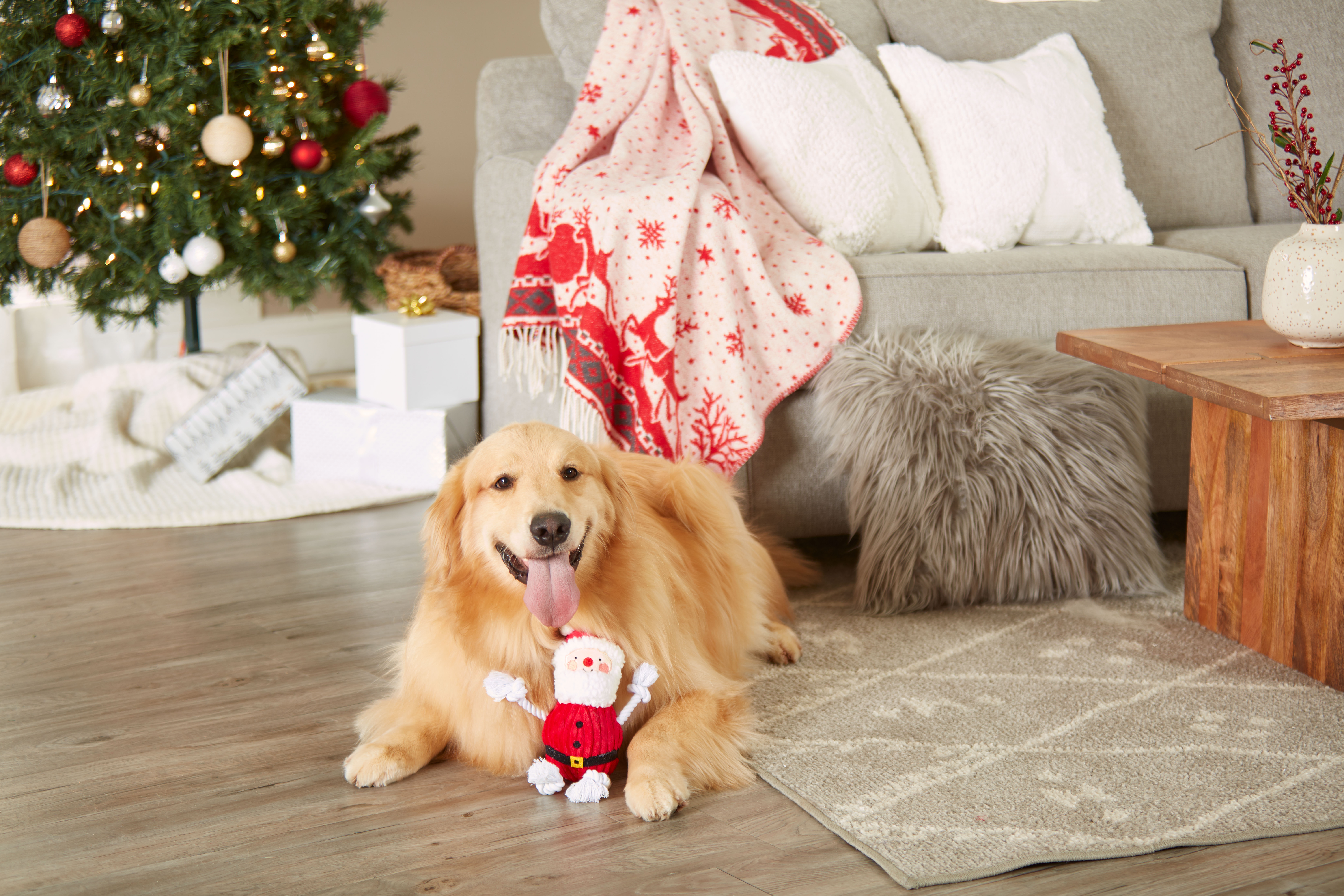 Real Santa Claus Dog Toy  Red/White - 4