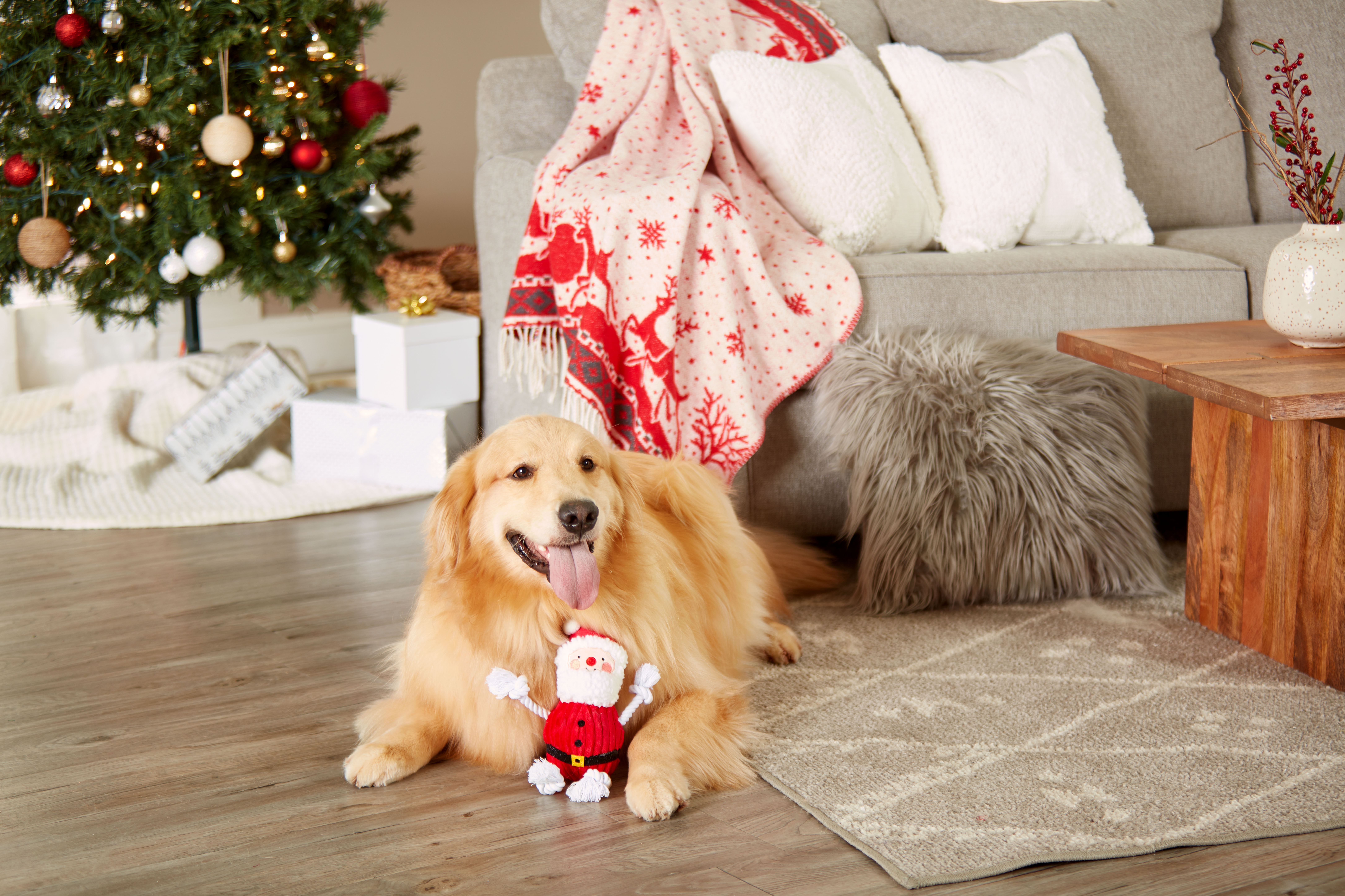 Real Santa Claus Dog Toy  Red/White - 2