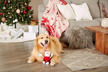 Real Santa Claus Dog Toy  Red/White