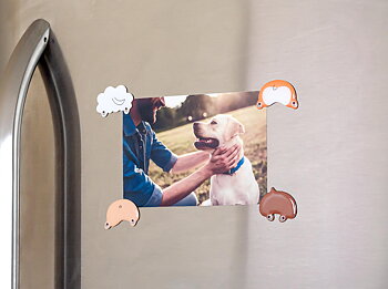 Dog Butt Magnets multi