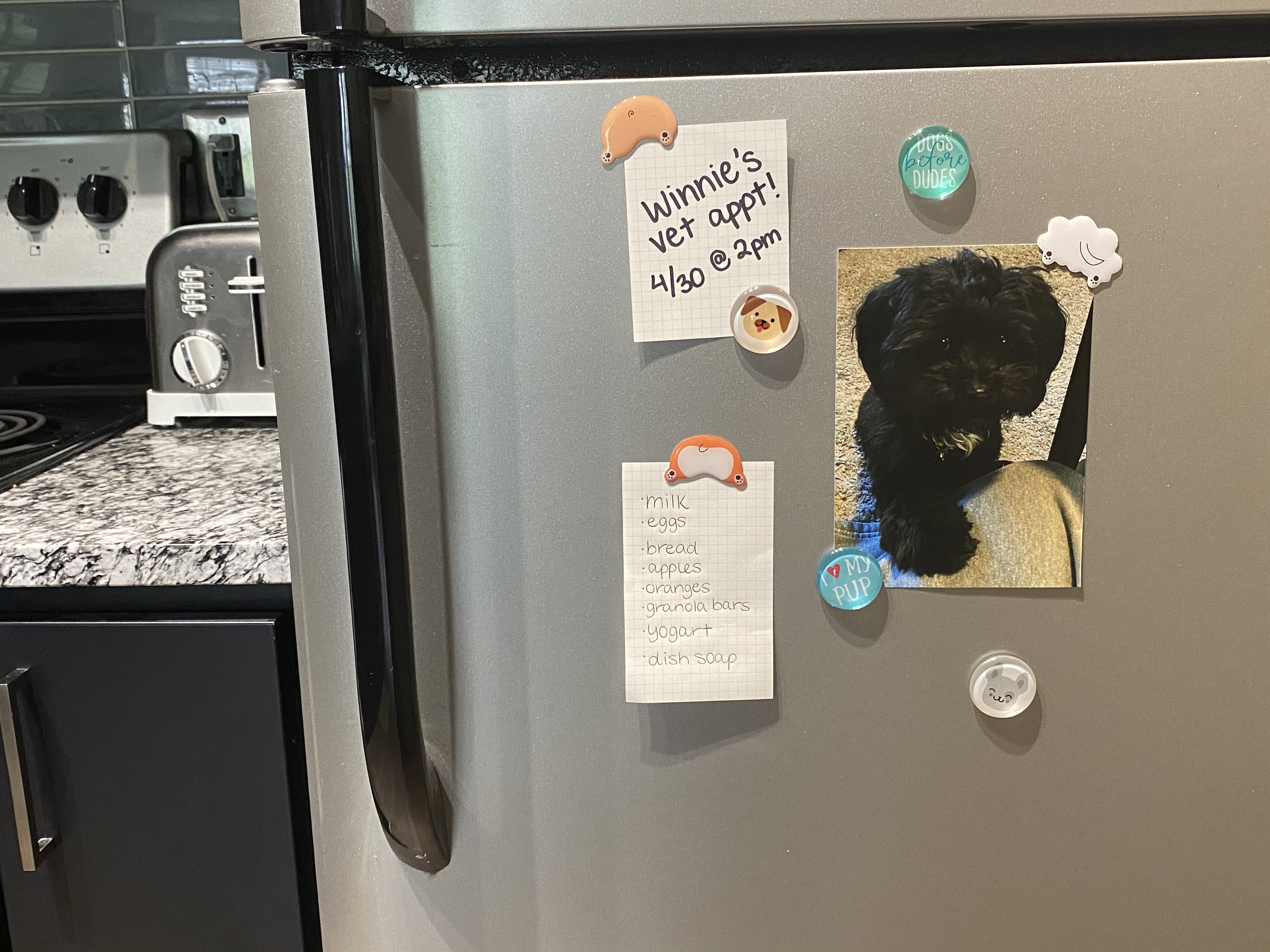 Dog Butt Magnets multi - 4