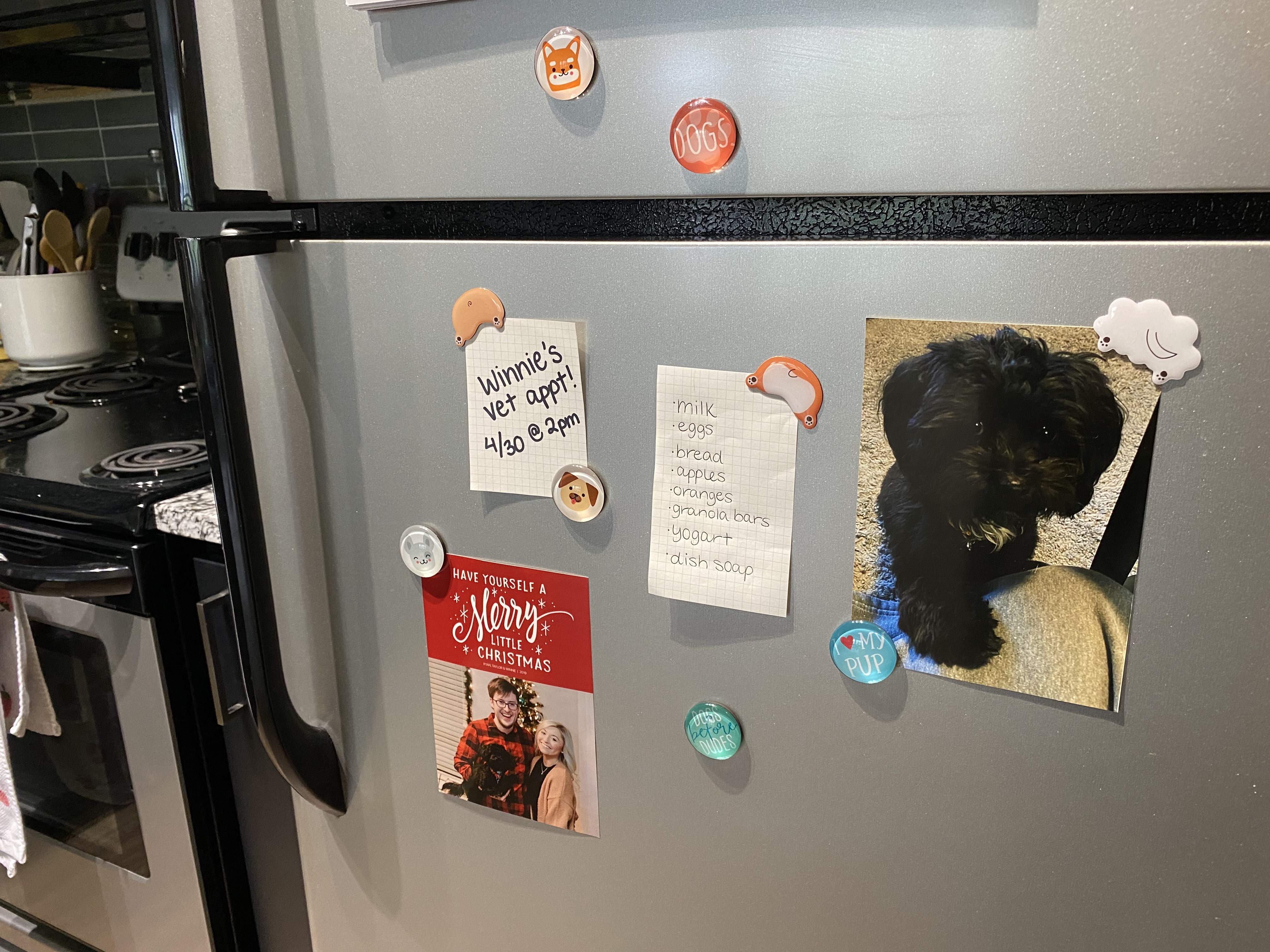 Dog Butt Magnets multi - 5