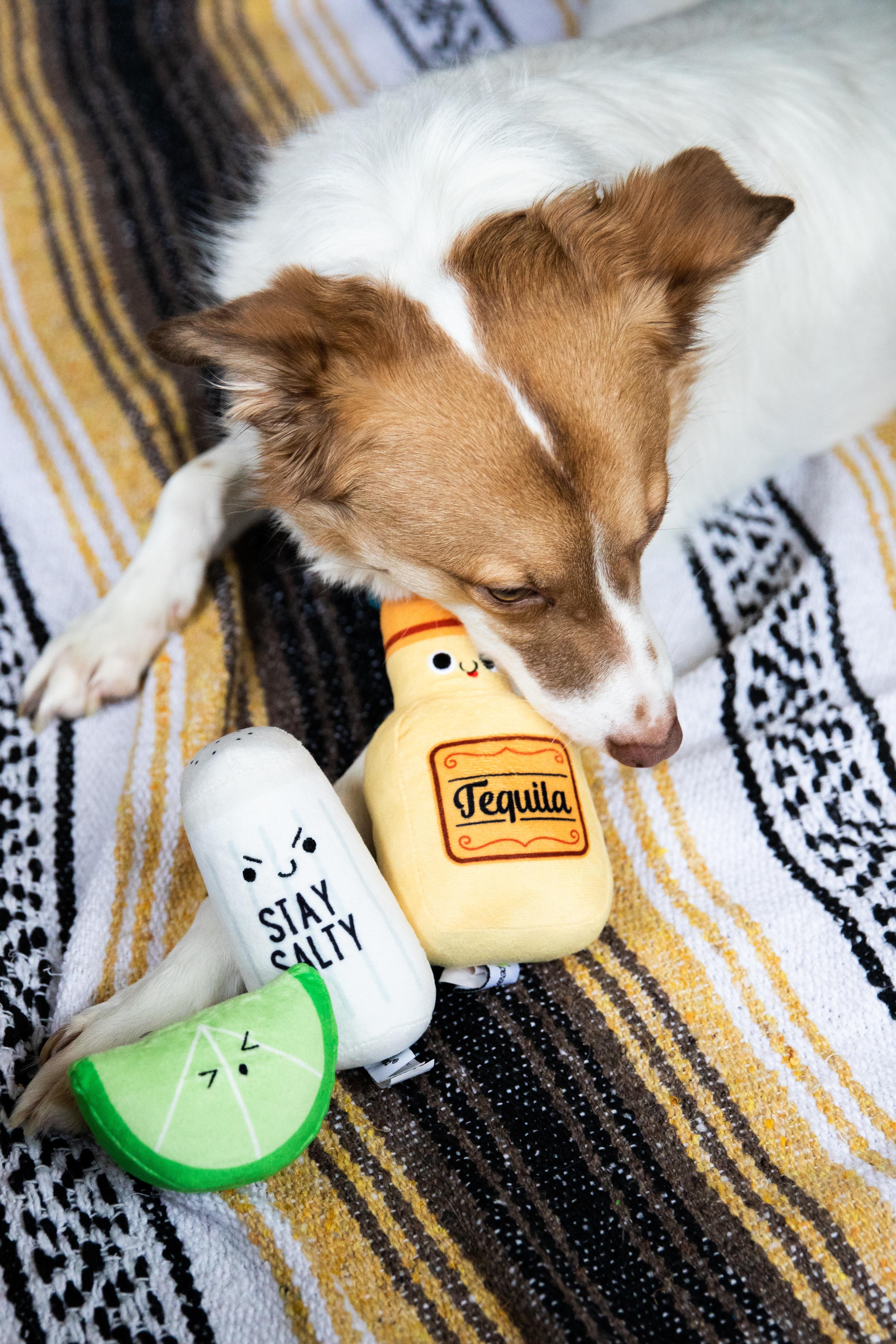 Tequila Shots Dog Toys Multi - 15