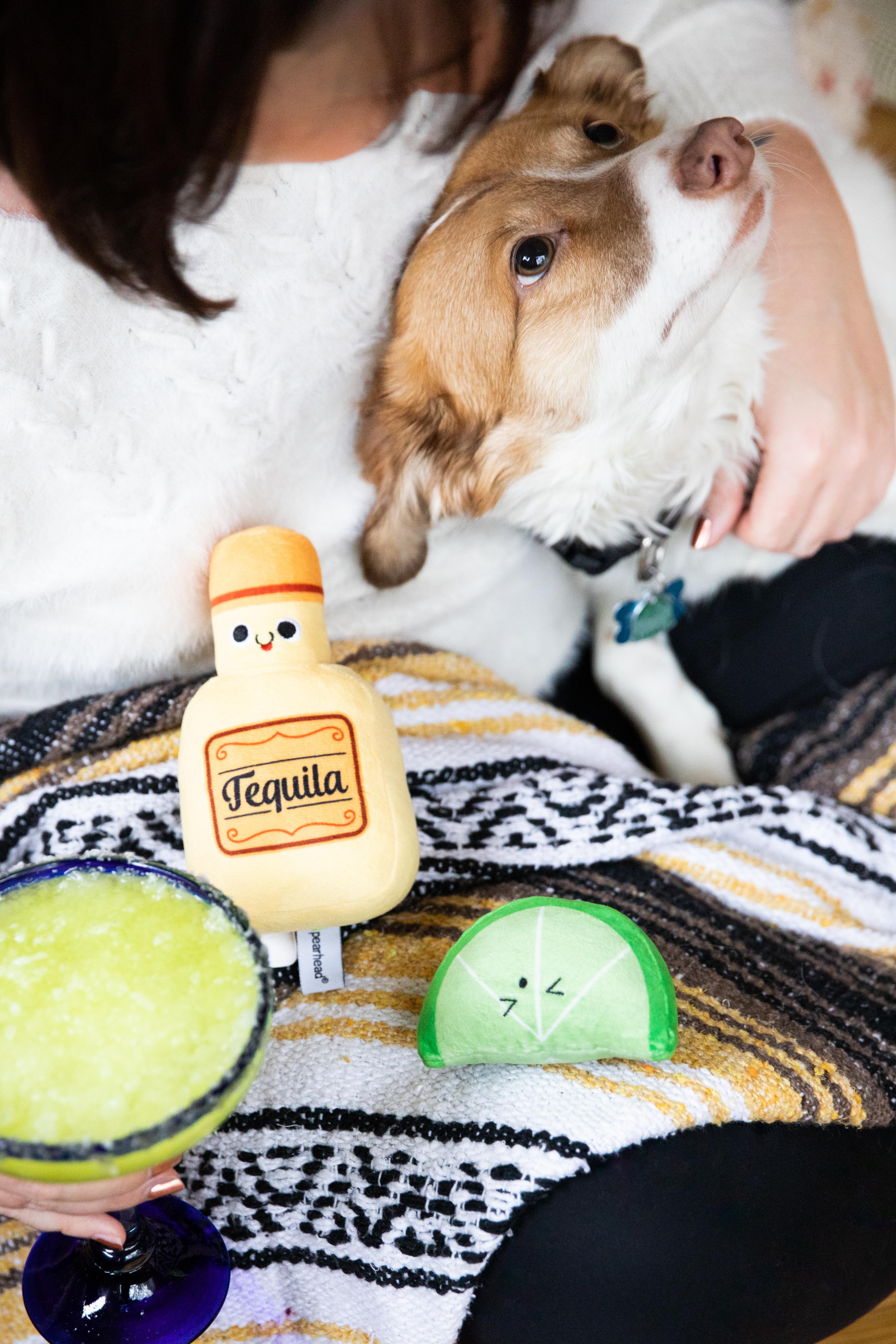 Tequila Shots Dog Toys Multi - 8