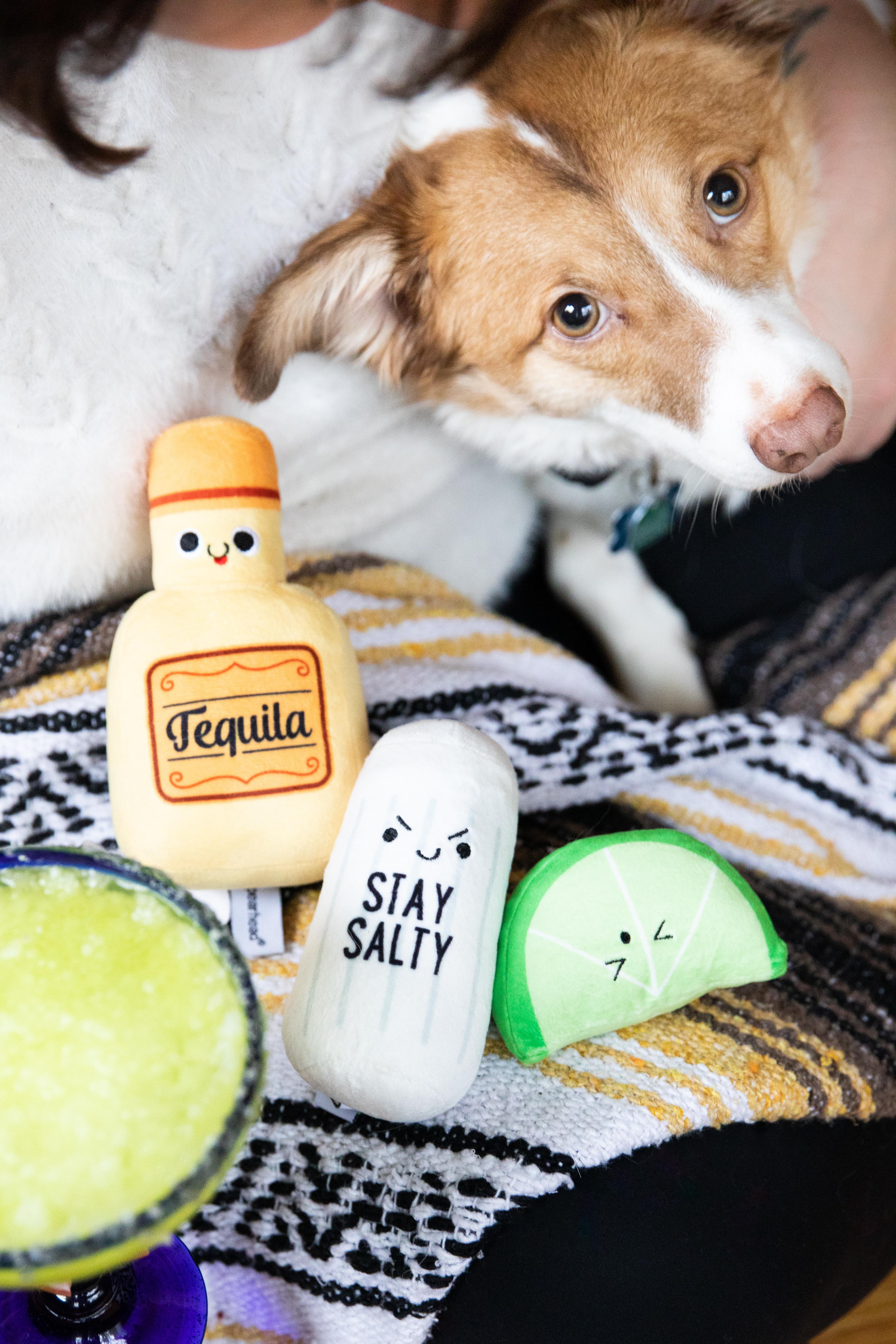 Tequila Shots Dog Toys Multi - 9