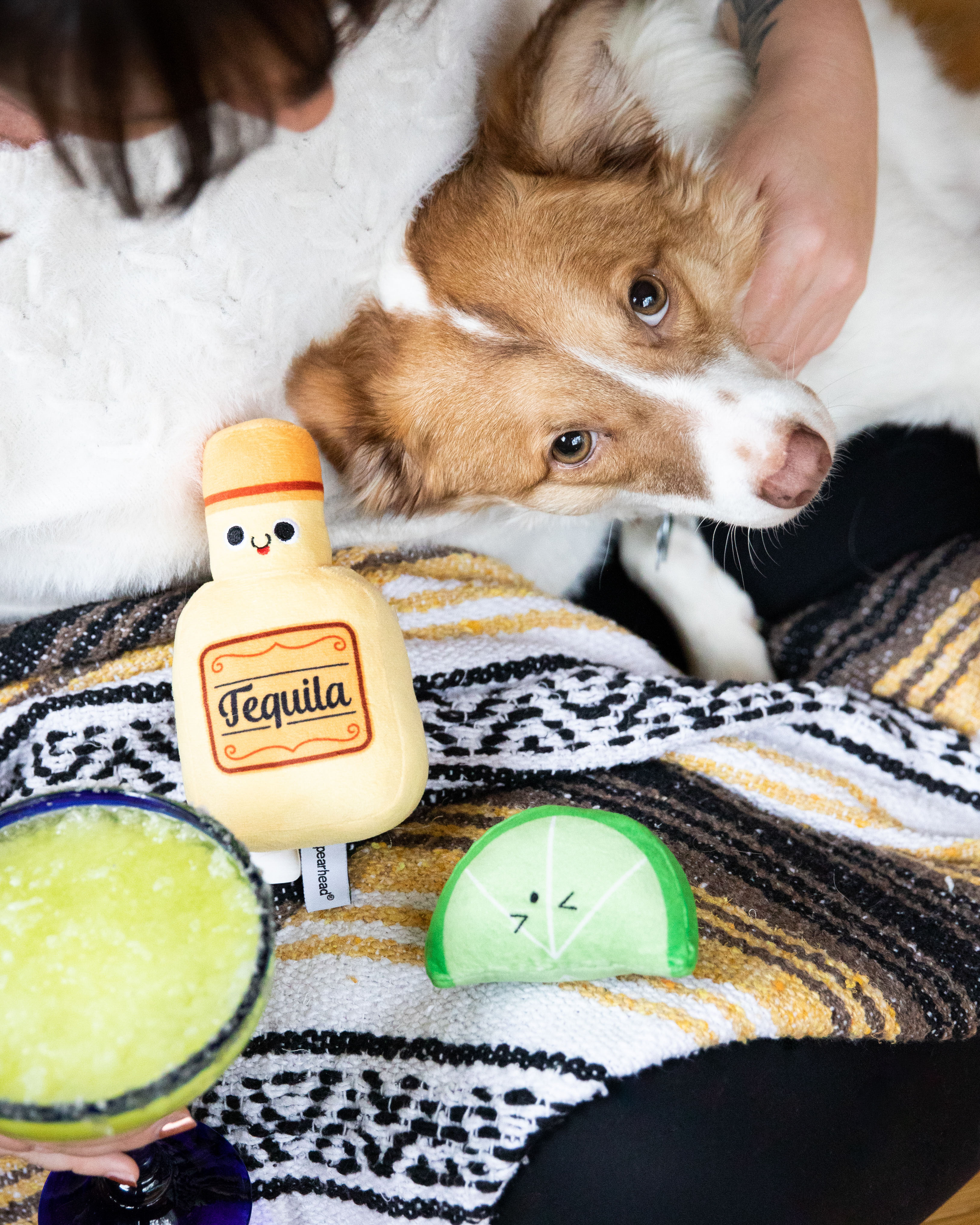 Tequila Shots Dog Toys Multi - 2