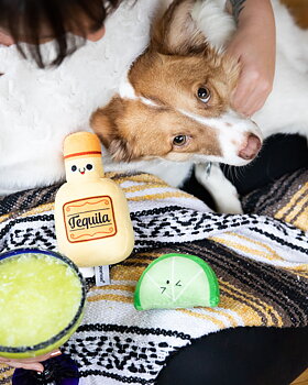 Tequila Shots Dog Toys Multi