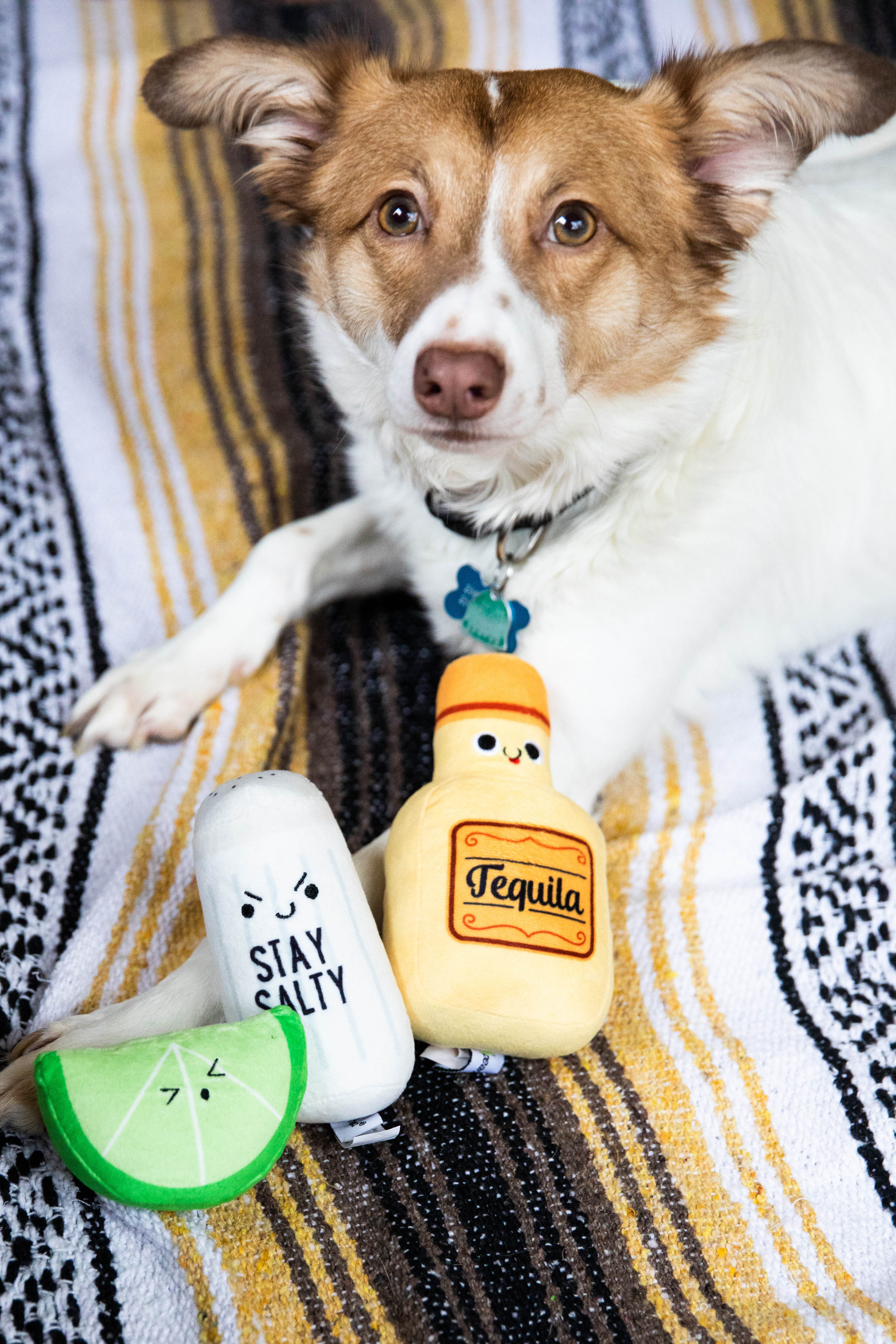 Tequila Shots Dog Toys Multi - 16