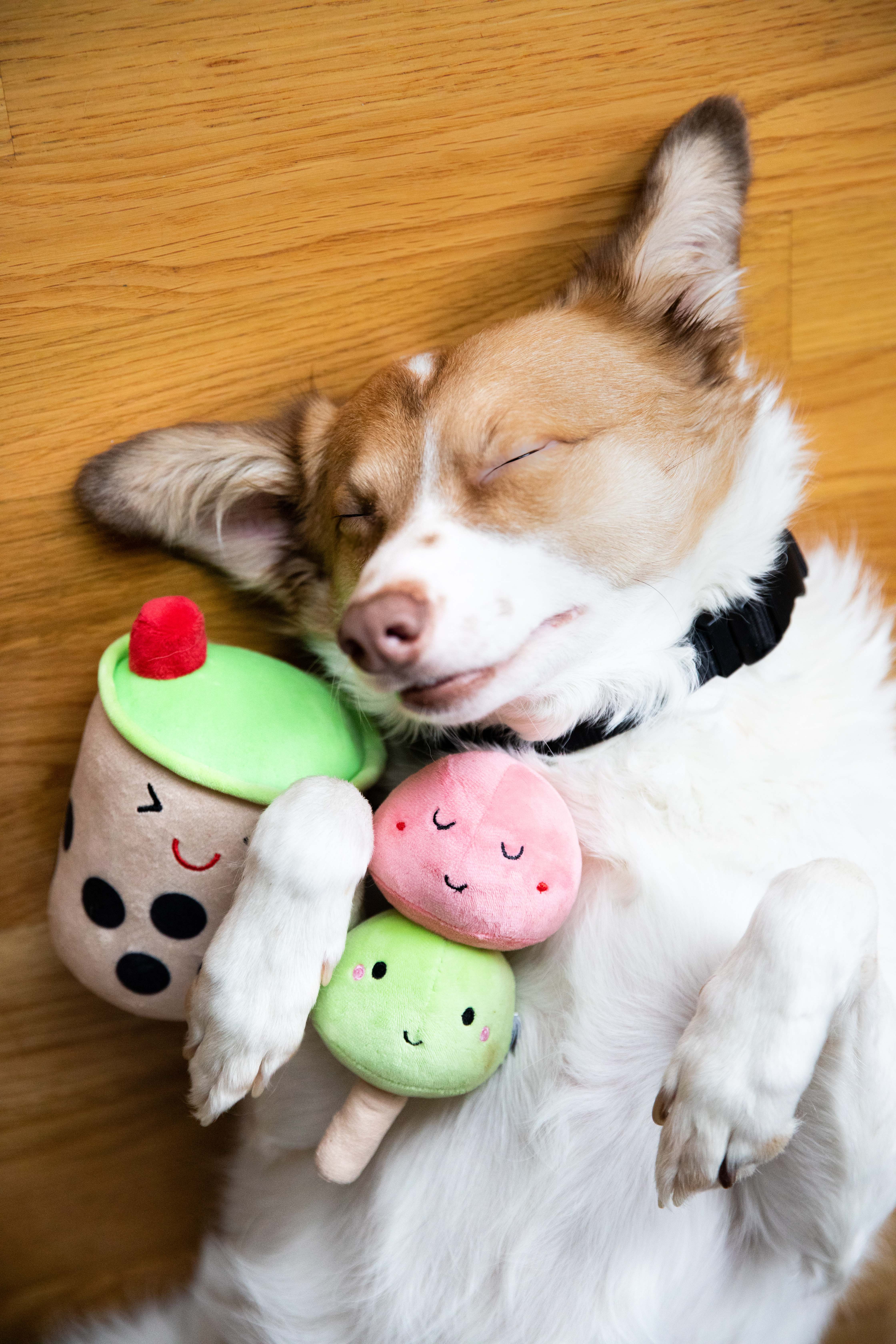 Bubble Tea Dog Toys Multi - 7
