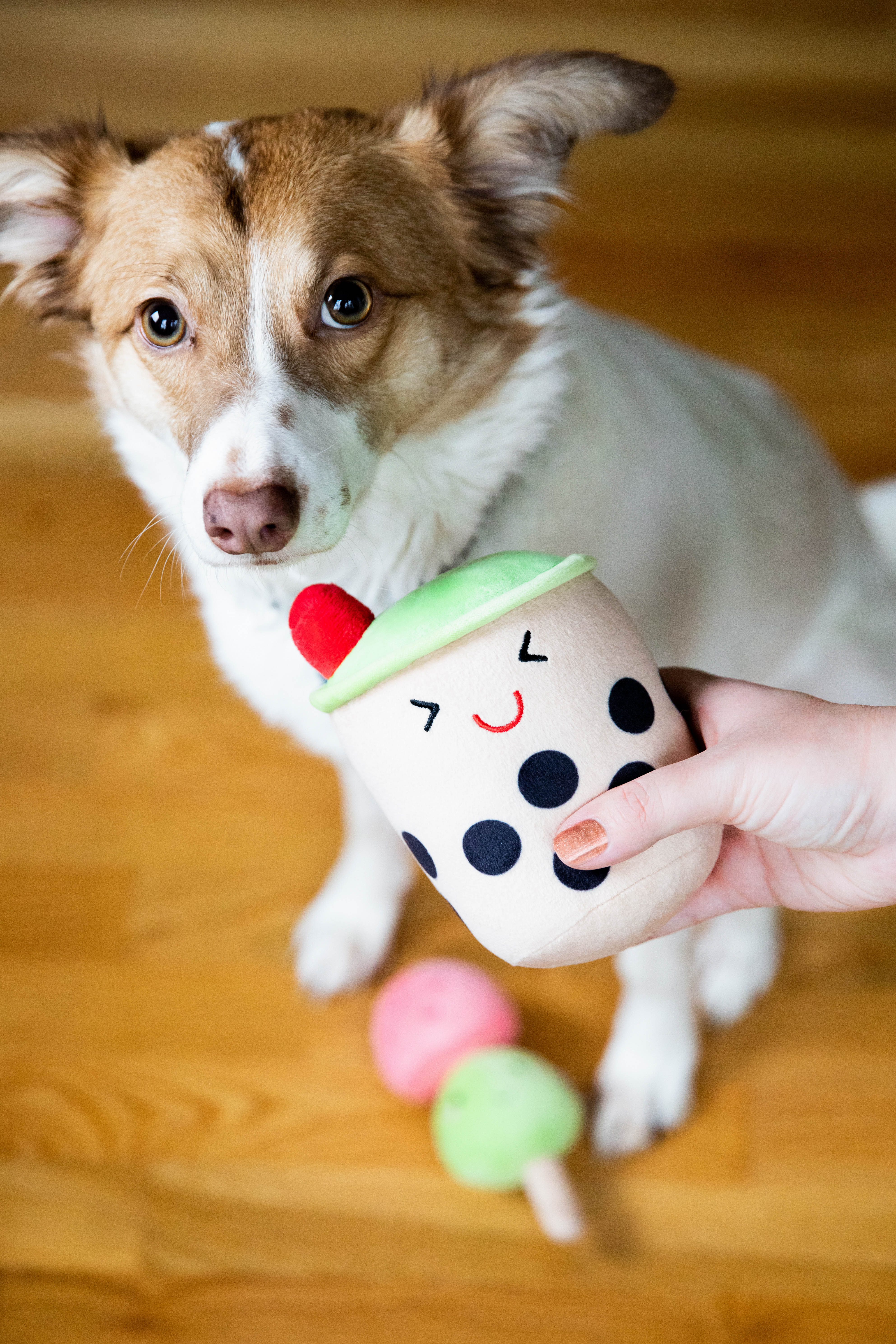 Bubble Tea Dog Toys Multi - 14