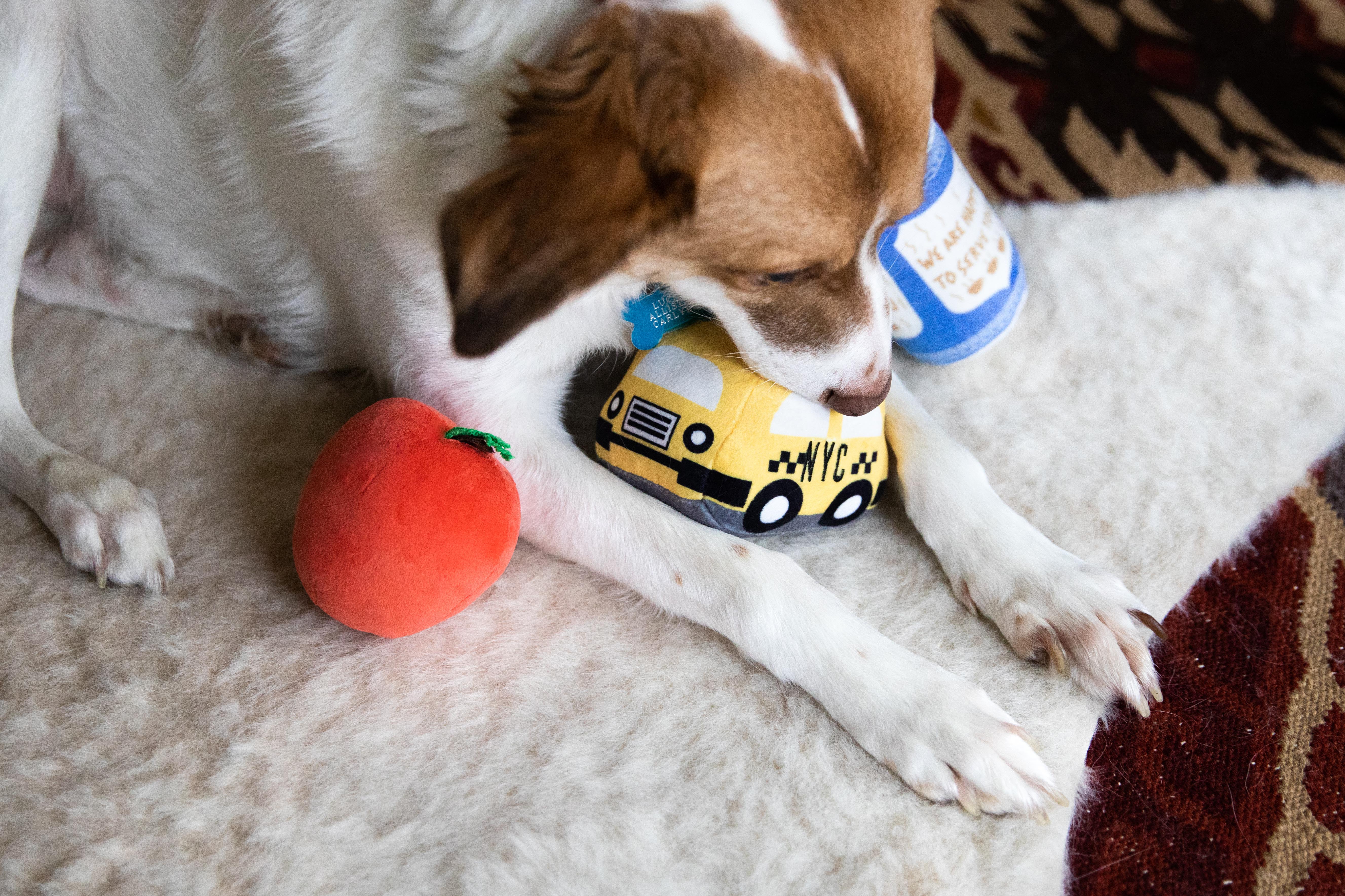 New Bark City Dog Toys Multi - 9