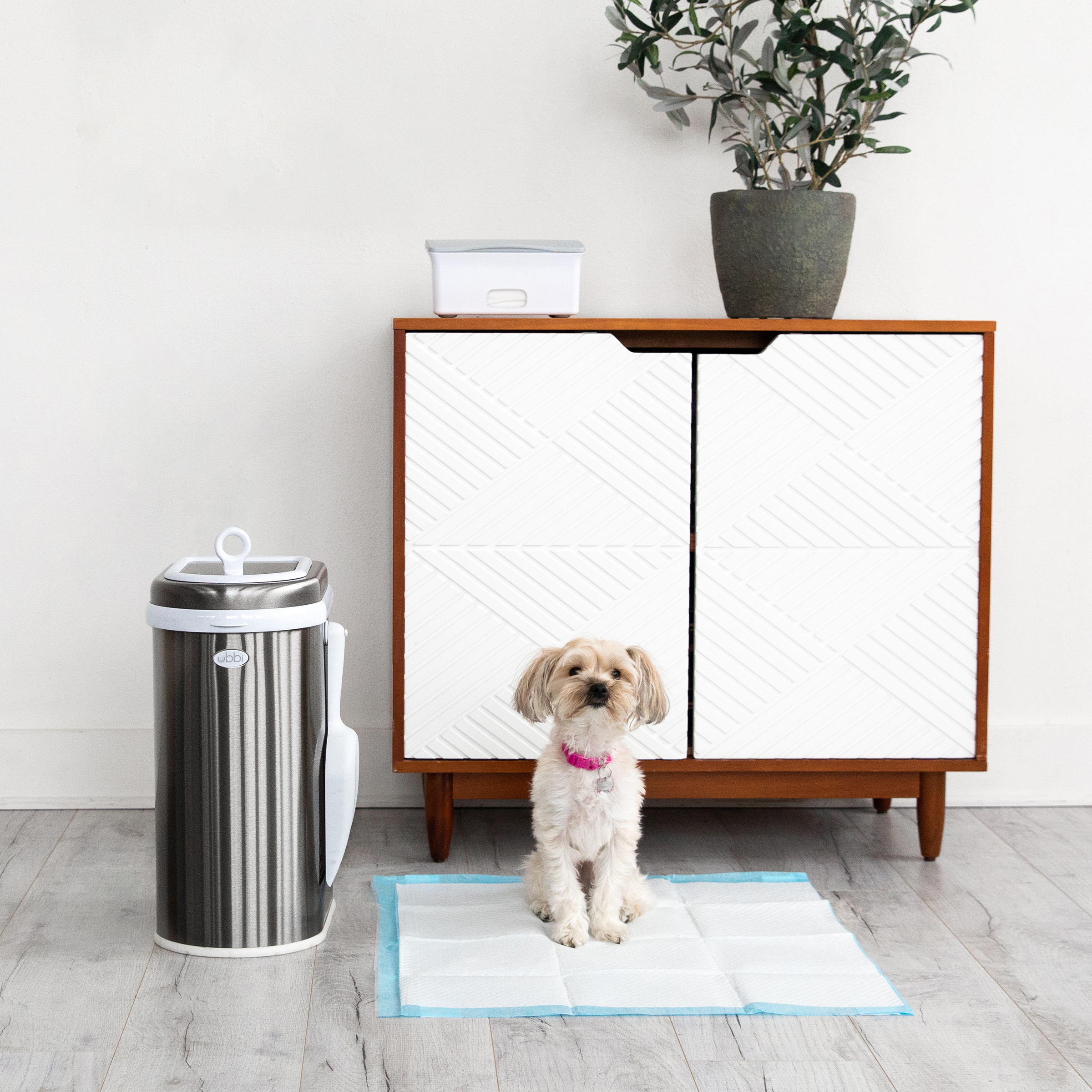Pet Wipes Dispenser White/Gray - 5