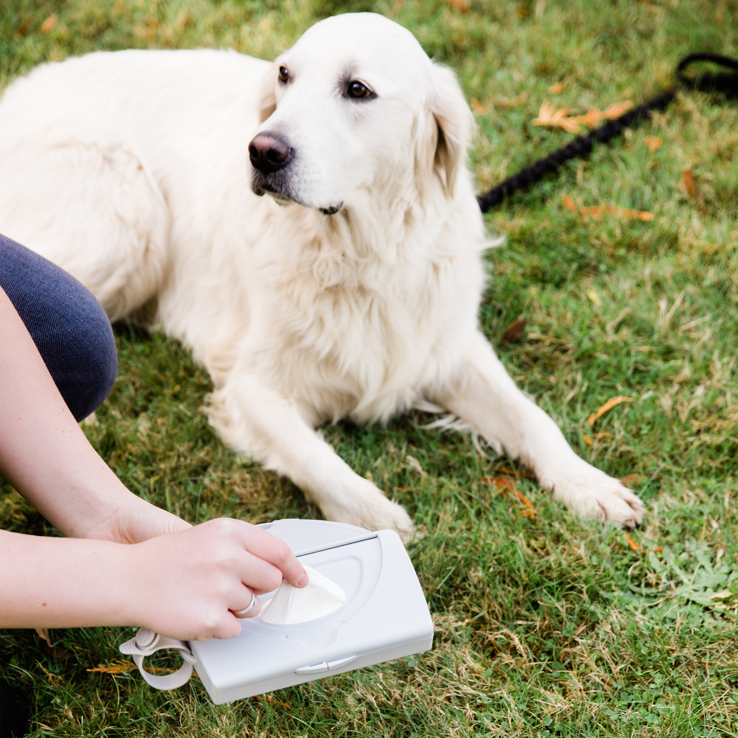 OTG Pet Wipes Dispenser Gray - 5