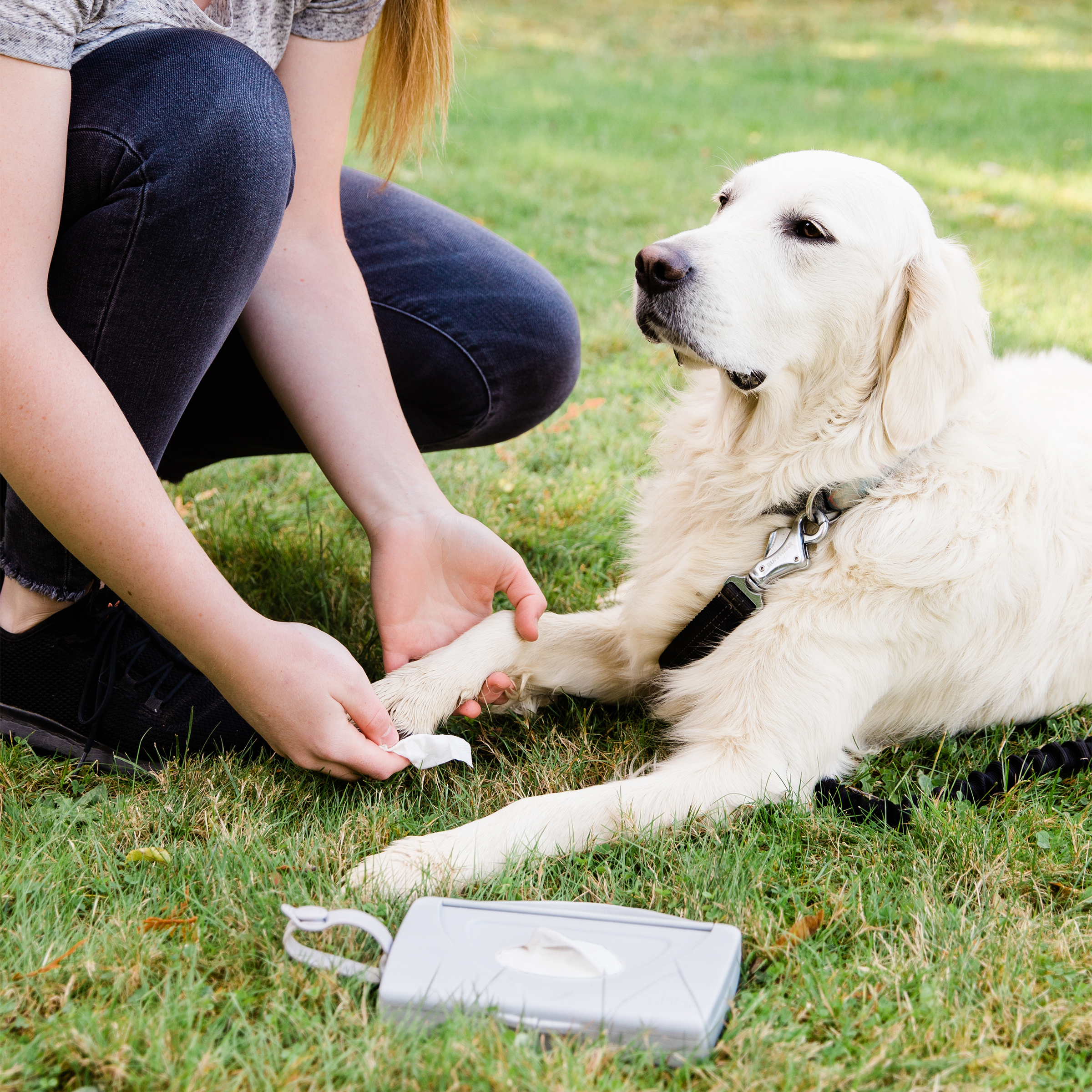 OTG Pet Wipes Dispenser Gray - 4