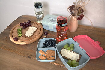 Lässig Lunch Set About Friends Dino Rose