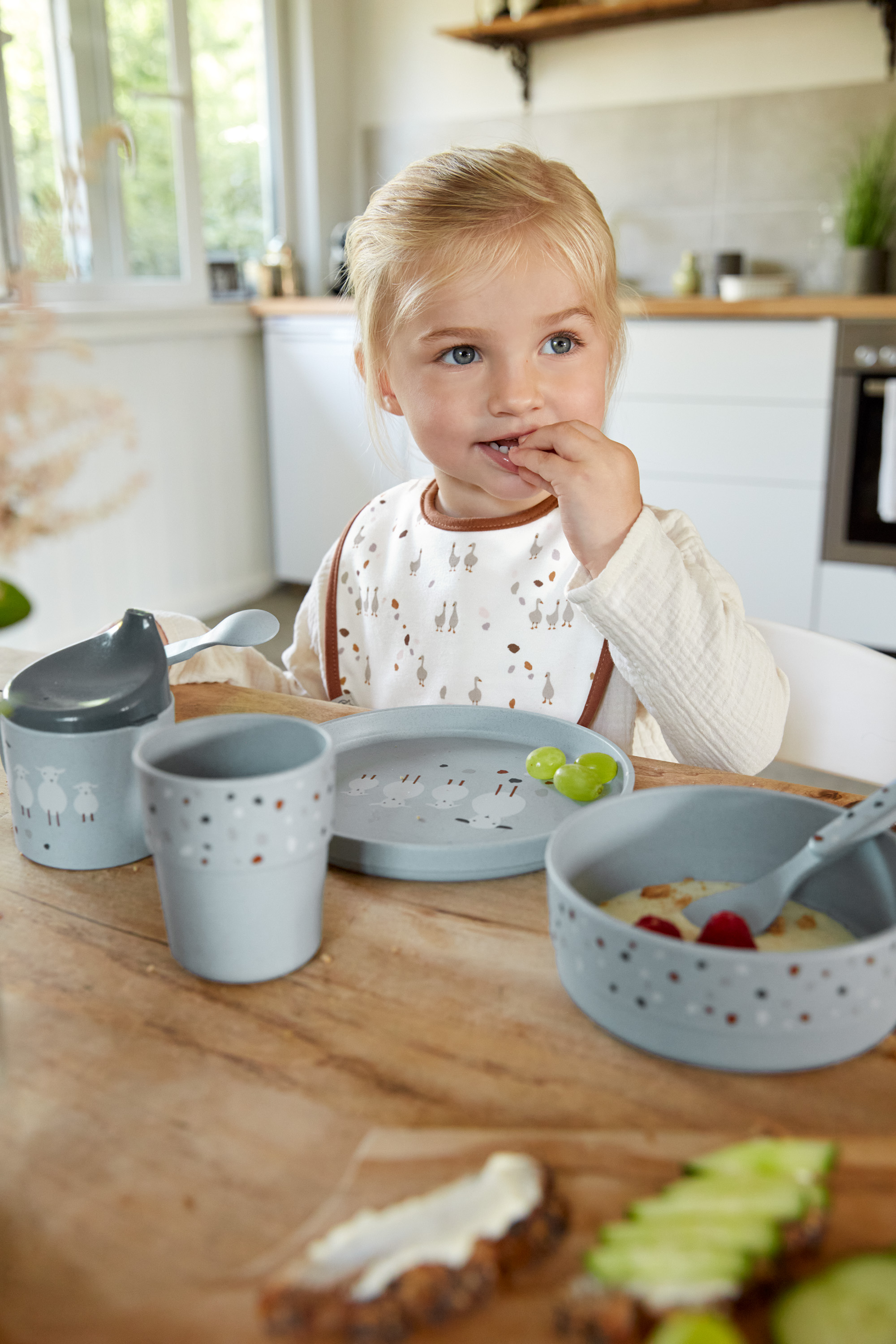 Lässig Value Pack Bib 5 pcs assorted Tiny Farmer Nature - 9