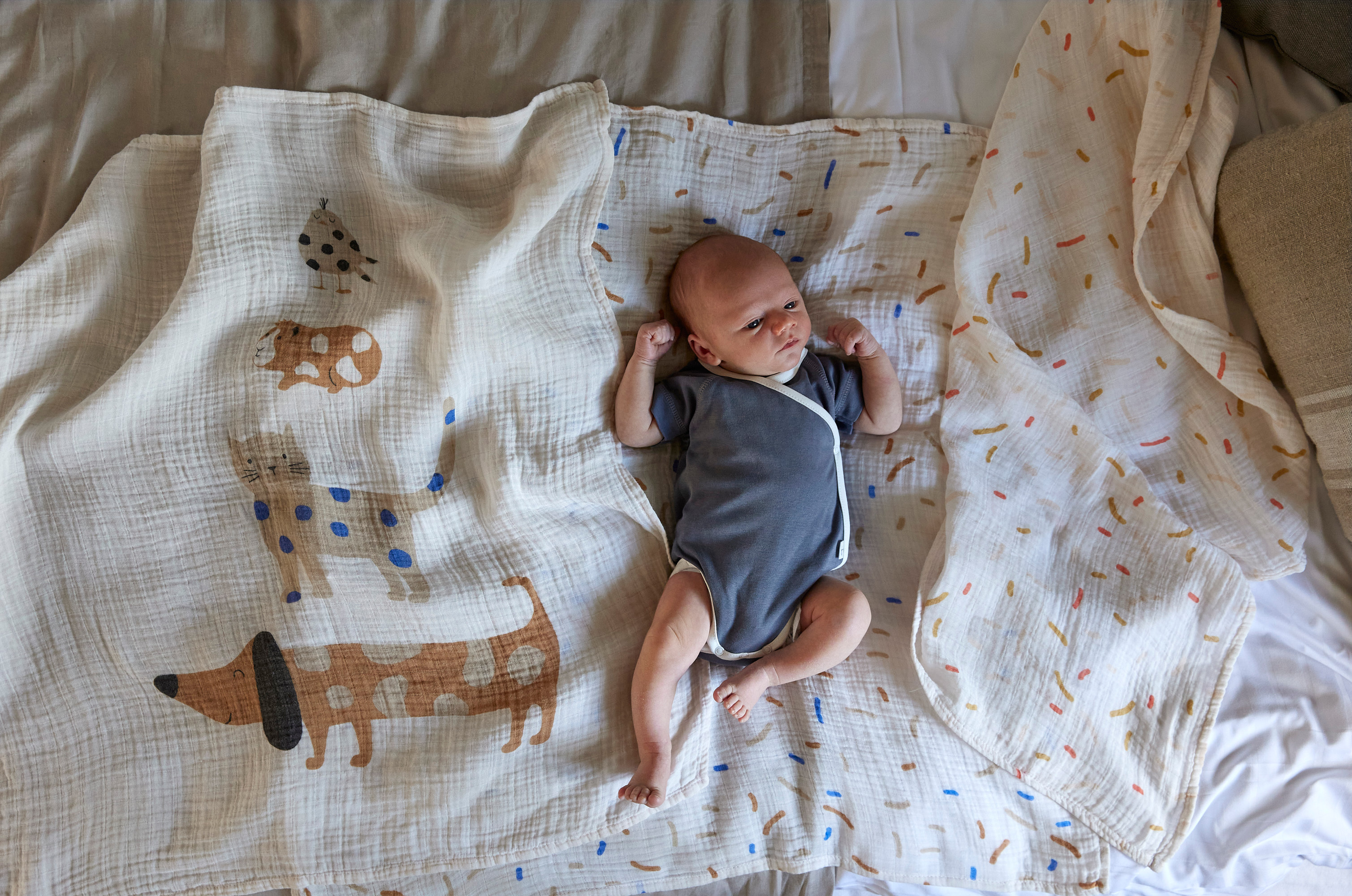 Lässig Heavenly soft Swaddle L - Little Mateys Royal Blue - 11