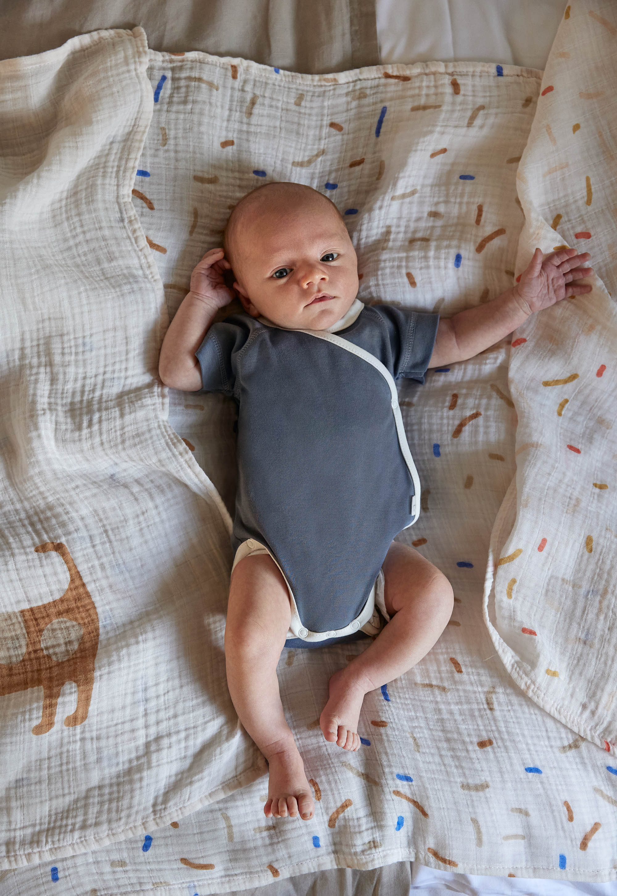 Lässig Heavenly soft Swaddle L - Little Mateys Royal Blue - 9
