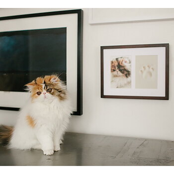 Tassavtryck Ram  Espresso