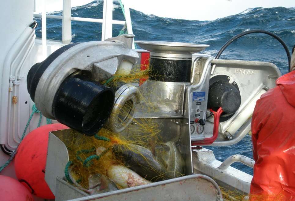 Rapp Hydema HMN-12TS - 3