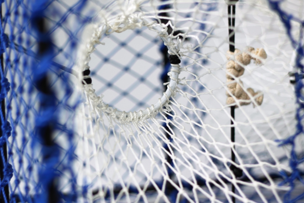 Prawn Creel, Parlour, Blue, Net Entrance - 6
