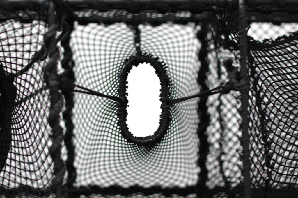 Wrasse Trap, Parlour - 6