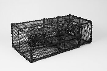 Wrasse Trap, Extended Parlour