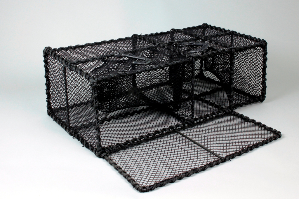 Wrasse Trap, Extended Parlour - 2