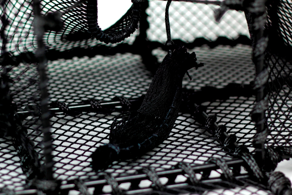 Wrasse Trap, Double Parlour - 7