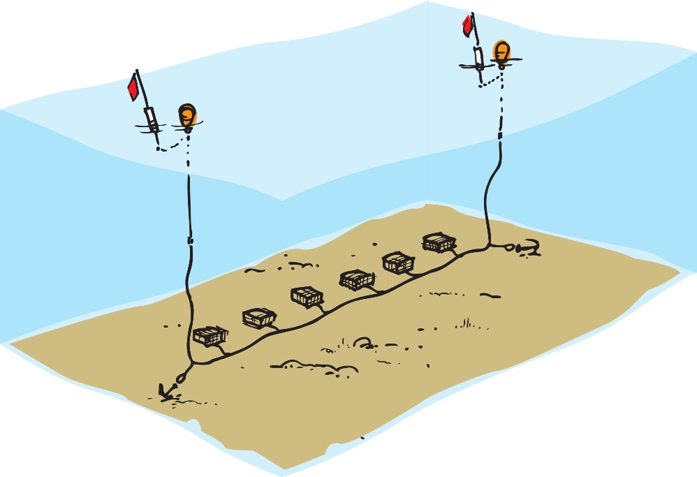 Prawn String, 2 Creels