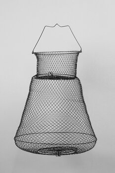 Metallsump, Insjökräfta, Small