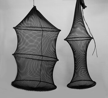 Leppefisksump, Medium