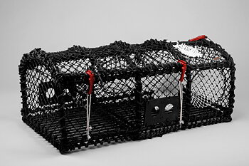 Lobster Creel 39'', Parlour, Top Hatch