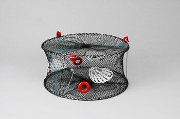 Carapax Crayfish Trap