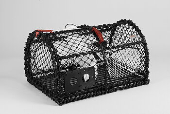 Crab Creel 26''