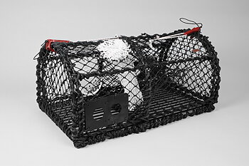 Lobster Creel 32'', Parlour, One Eye, 13 KG